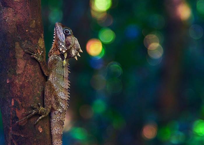 Madagaszkár egzotikus utazás