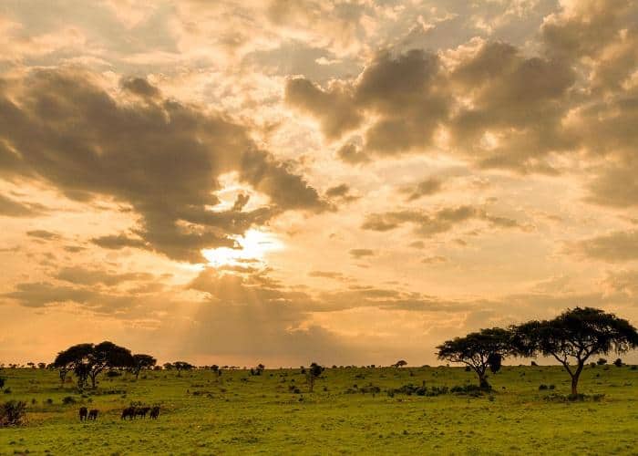 Ugandai szafarik az Egyenlítő mentén