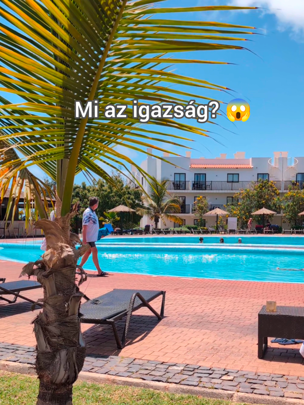 Mi az igazság?