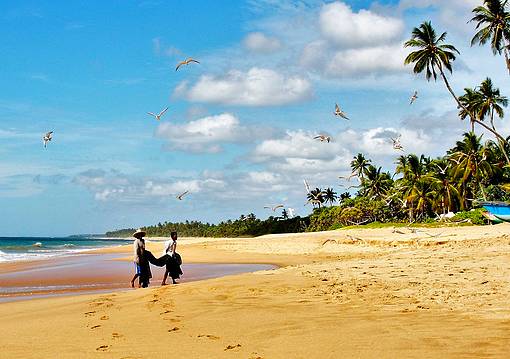 Sri Lanka - Srí Lanka utazás