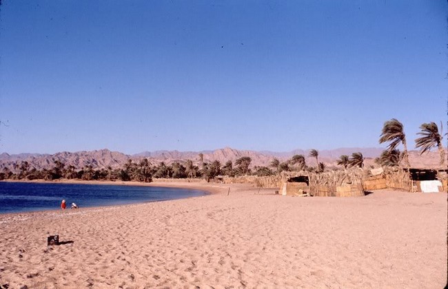Dahab 1975-ben