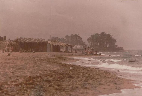 Dahab 1976-ban
