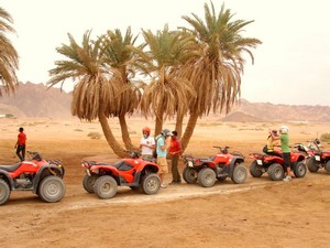 Dahab Quad