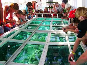 Dahab Beduin vacsora