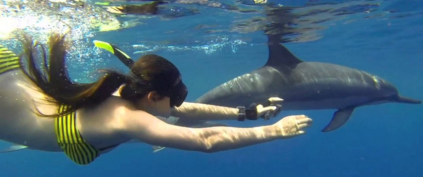 Nabeul delfinekkel úszás | Nabeul utazás és nyaralás