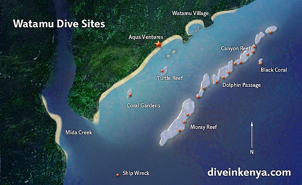 Kenyi búvárkodás búvár