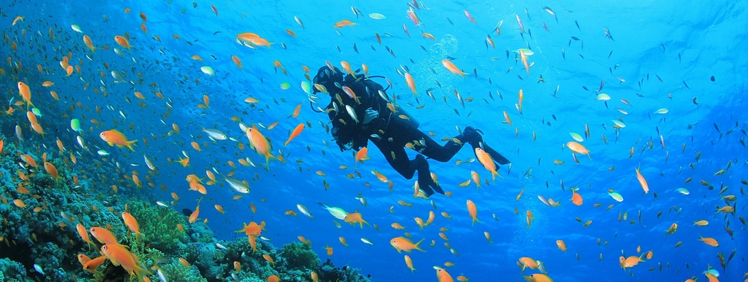 Marsa Alam Búvárkodás