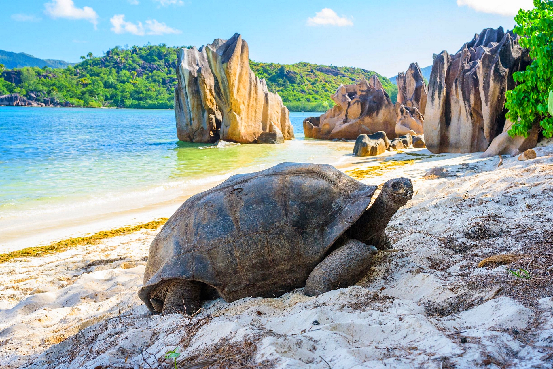 Seychelle-szigetek Praslin