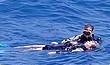 Rescue búvár tanfolyam