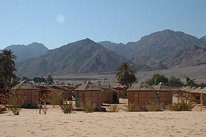 Tarabin