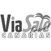Viasale Travel logo